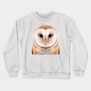 The Owl Crewneck Sweatshirt